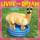Avanti Livin the Dream 2026 Mini Wall Calendar