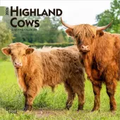 Highland Cows 2026 Mini Wall Calendar