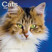 Cats 2026 Wall Calendar