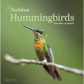 Audubon Hummingbirds and Beyond 2026 Wall Calendar
