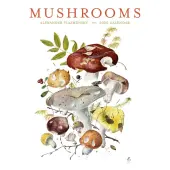 Mushrooms Viazmensky 2025 Wall Calendar