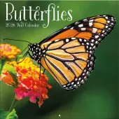 Butterflies Photo 2026 Wall Calendar