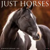Just Horses 2026 Wall Calendar