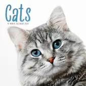 Cats 2026 Wall Calendar