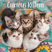Curious Kittens 2026 Wall Calendar
