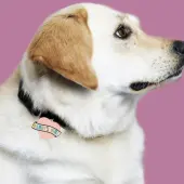Daddys Girl Dog Collar Charm