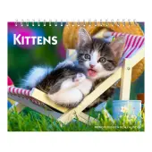 Kittens 2025 Easel Desk Calendar