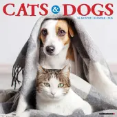 Cats and Dogs 2026 Wall Calendar