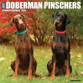 Just Dobermans 2026 Wall Calendar