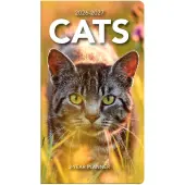 Cats 2 Year 2026 Pocket Planner