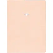 Blush 2019 Planner