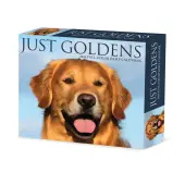 Just Goldens 2026 Desk Calendar