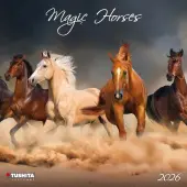 Magic Horses 2026 Wall Calendar