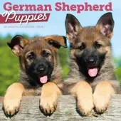 German Shepherd Puppies 2026 Wall Calendar