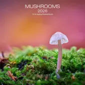Mushrooms 2026 Mini Wall Calendar
