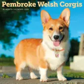 Pembroke Welsh Corgis 2026 Wall Calendar