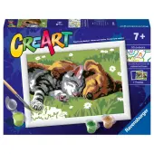 Sleeping Cat and Dog Paint by Number Kit