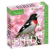 Audubon Birds 2026 Desk Calendar