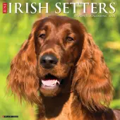 Irish Setters Just 2025 Wall Calendar