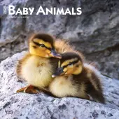 Baby Animals 2025 Wall Calendar