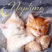 Naptime 2026 Mini Wall Calendar