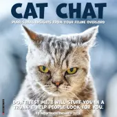 Cat Chat 2026 Wall Calendar