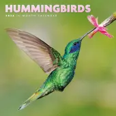 Hummingbirds Special Value 2026 Mini Wall Calendar