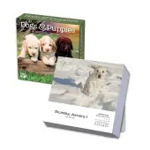 Dogs And Puppies 2026 Desk Calendar