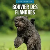 Bouvier des Flandres 2025 Wall Calendar
