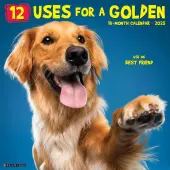 12 Uses for a Golden 2025 Wall Calendar