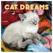 Cat Dreams 2025 Wall Calendar