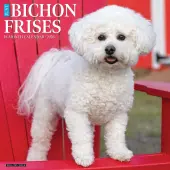 Just Bichons Frises 2026 Wall Calendar
