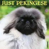 Pekingese Just 2026 Wall Calendar