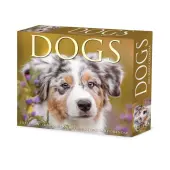 Dogs 2025 Desk Calendar