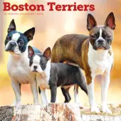 Boston Terriers 2026 Wall Calendar