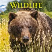 Wildlife  2026 Wall Calendar