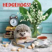 Hedgehogs 2025 Wall Calendar