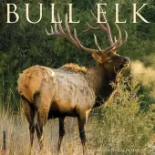 Elk Bull 2026 Wall Calendar