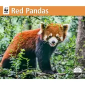 Red Pandas WWF 2026 Wall Calendar