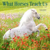 What Horses Teach Us 2025 Mini Wall Calendar