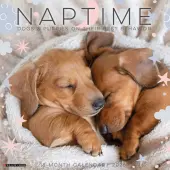 Naptime Dogs Special Value 2026 Wall Calendar
