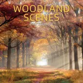 Woodland 2026 Wall Calendar