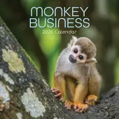 Monkey Business 2026 Wall Calendar