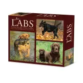 Just Labs 2026 Desk Calendar