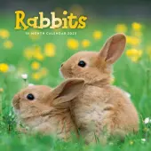 Rabbits 2025 Wall Calendar