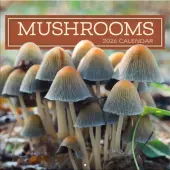 Mushroom Photo 2026 Wall Calendar