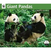 Giant Pandas WWF 2026 Wall Calendar