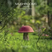Mushrooms 2025 Mini Wall Calendar