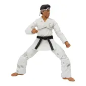 Karate Kid Daniel GO! Exclusive