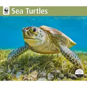 Sea Turtles WWF 2026 Wall Calendar